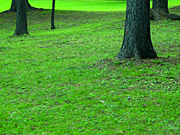 �k��A�����̕��i