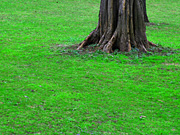 �k��A�����̕��i