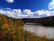 �V���[�p���΂̕��i