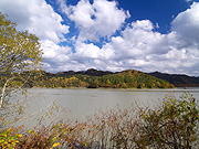 �V���[�p���΂̕��i