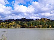 �V���[�p���΂̕��i