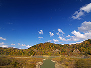 �V���[�p���΂̕��i