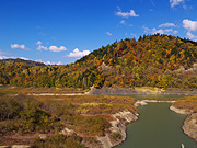 �V���[�p���΂̕��i