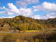 �V���[�p���΂̕��i