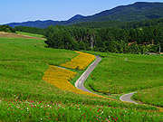 ���z�̋u���񂪂�����̕��i