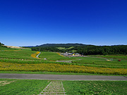 ���z�̋u���񂪂�����̕��i