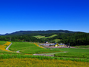 ���z�̋u���񂪂�����̕��i