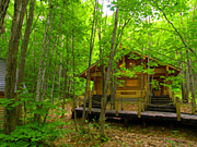 �j���O���e���X�̕��i