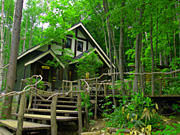 �x�ǖ�E�j���O���e���X