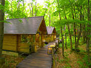 �j���O���e���X�̕��i