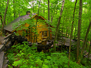 �j���O���e���X�̕��i