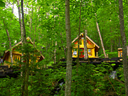 �j���O���e���X�̕��i