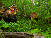 �j���O���e���X�̕��i