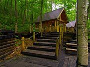 �j���O���e���X�̕��i