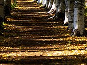 �ԓc�h����