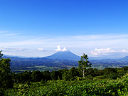 �r���R�̕��i