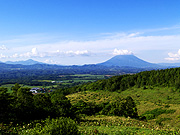 �r���R�̕��i