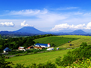 �r���R�Ɣ��̕��i