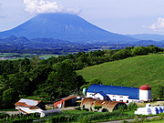 �r���R�Ɣ��̕��i