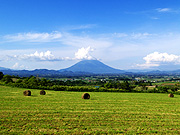 �r���R�Ɩq���n�̕��i