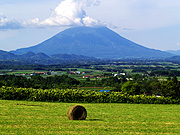 �r���R�Ɩq���n�̕��i