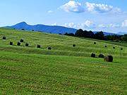 �q���n�̕��i