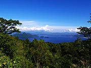 ����΂̕��i