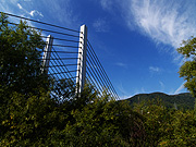 �~�����w���勴�̕��i