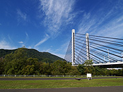 �~�����w���勴�̕��i