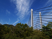 �~�����w���勴�̕��i