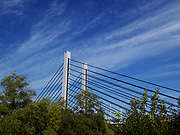 �~�����w���勴�̕��i