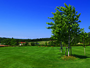 ��ɃK�[�f���Ő��L��̕��i