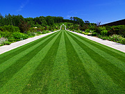 �u���[�h�E�H�[�N�̕��i