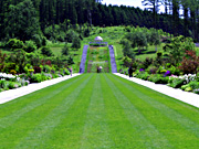 �u���[�h�E�H�[�N�̕��i