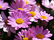 �~���R���X��