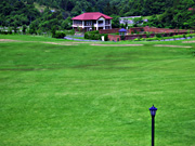 ��ɃK�[�f���̃R�e�[�W