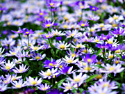 �~���R���X��