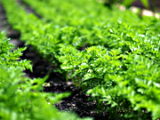 �j���W����