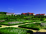 ��ɃK�[�f��