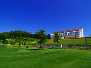 ��ɃK�[�f���̕��i