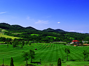 ��ɃK�[�f���Ő��L��̕��i