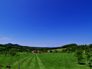 ��ɃK�[�f���Ő��L��̕��i