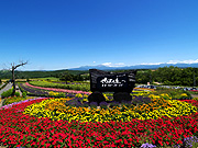 ����Ԃ̋u�̕��i