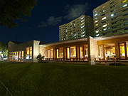 �K�[�f���O�����̖�i