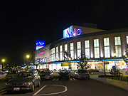 �A���I�D�y�iARIO�j�̖�i