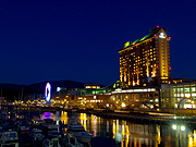 ���M�`�}���[�i�̖�i