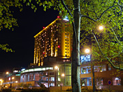 �E�C���O�x�C���M�̖�i