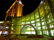 �E�C���O�x�C���M�̖�i