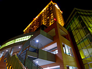 �q���g�����M�̖�i