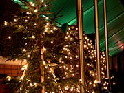 �q���g�����M�̃C���~�l�[�V����